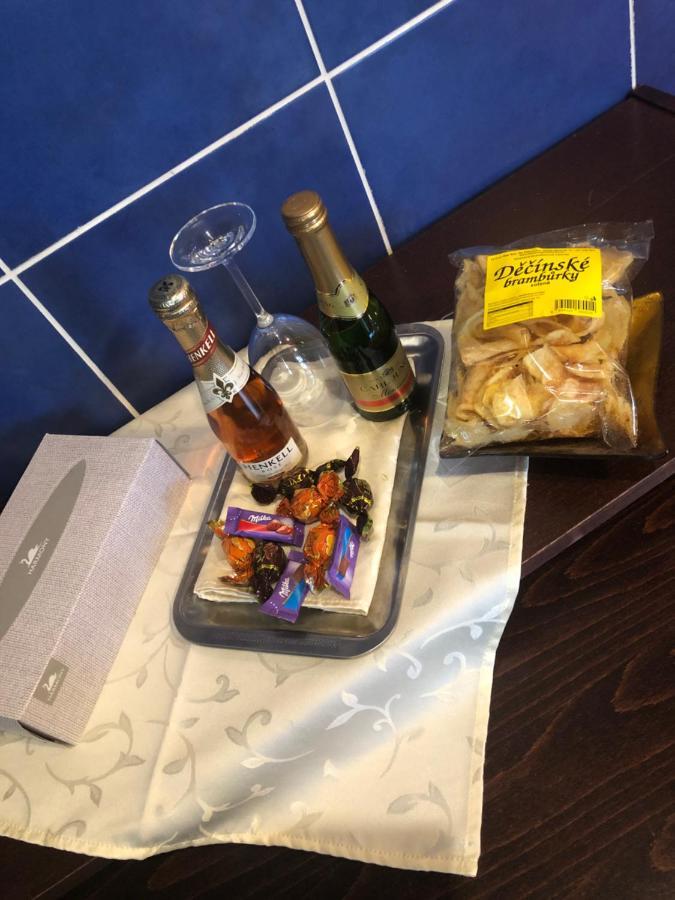 Ubytovani V Soukromi Rodinne Vily V Decine Εξωτερικό φωτογραφία